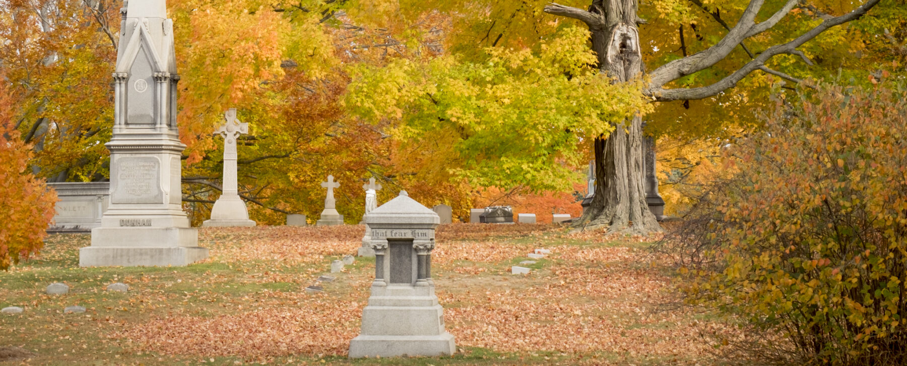 cedar hill fall foliage tour